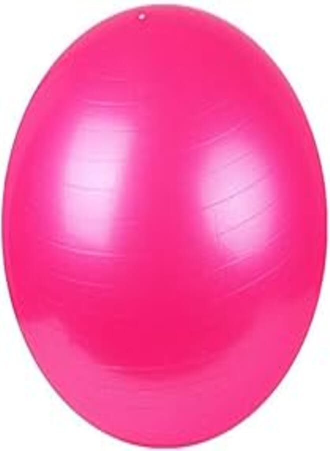 65cm Exercise Fitness Aerobic Ball for GYM Yoga Pilates Pregnancy Birthing Swiss Pink