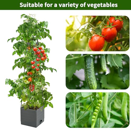 Qaobo Raised Garden Bed, Planter Boxes with Trellis 58.3'' Tomato Planters for Climbing Vine Vegetables Flowers Plants Self Watering Tomatoes Cage for Outdoor Patio Greenhouse - Image 2