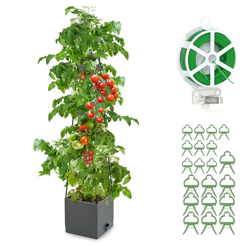 Qaobo Raised Garden Bed, Planter Boxes with Trellis 58.3'' Tomato Planters for Climbing Vine Vegetables Flowers Plants Self Watering Tomatoes Cage for Outdoor Patio Greenhouse - Image 1