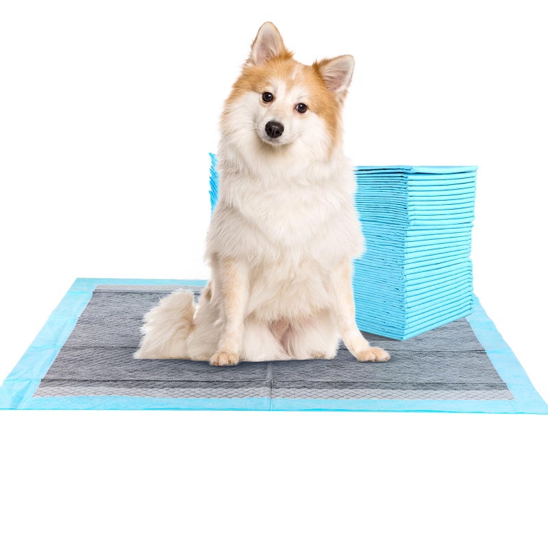 FluffyDream Super Absorbent Waterproof Dog and Puppy Pet Training Pad Housebreaking Pet PadBlue 22x22Odor Control Scented 100PCS