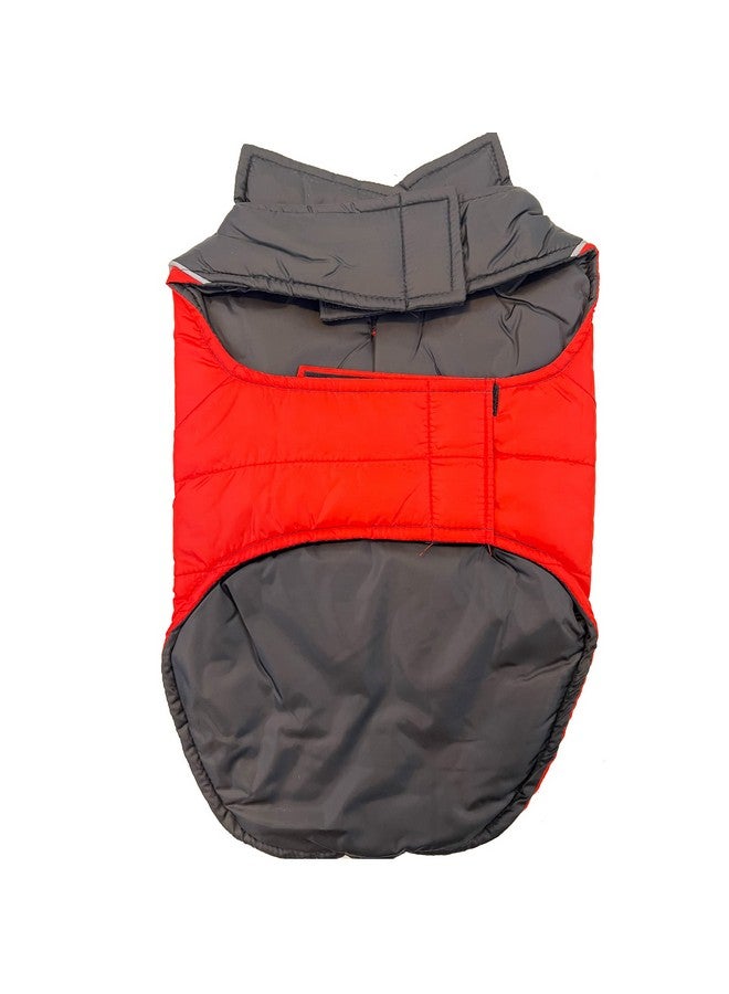 Pets First NBA Chicago Bulls Puffer Vest for Dogs & Cats, Size Small. Warm, Cozy, and Waterproof Dog Coat, for Small and Large Dogs/Cats. Best NBA Licensed PET Warming Sports Jacket - Image 3