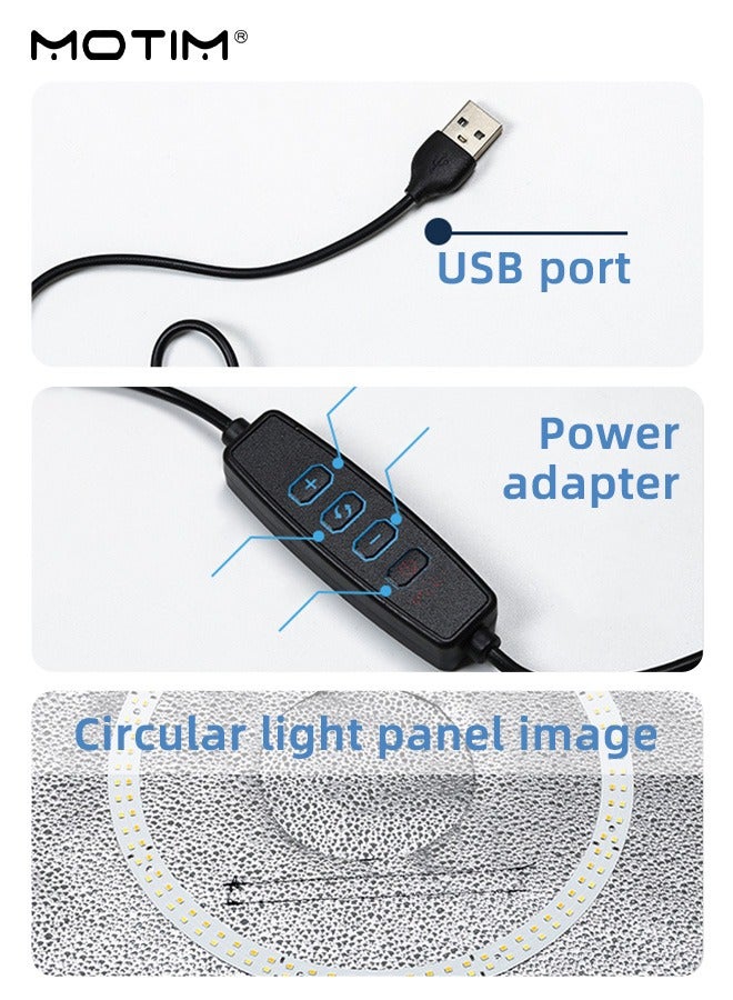 40cm/15.8 inch Foldable Photography LED Photo Studio Box & Light box  5500K, Dimmable Light, USB Studio Shooting Tent Box Kit with 3 Modes, 5 Color Backdrops