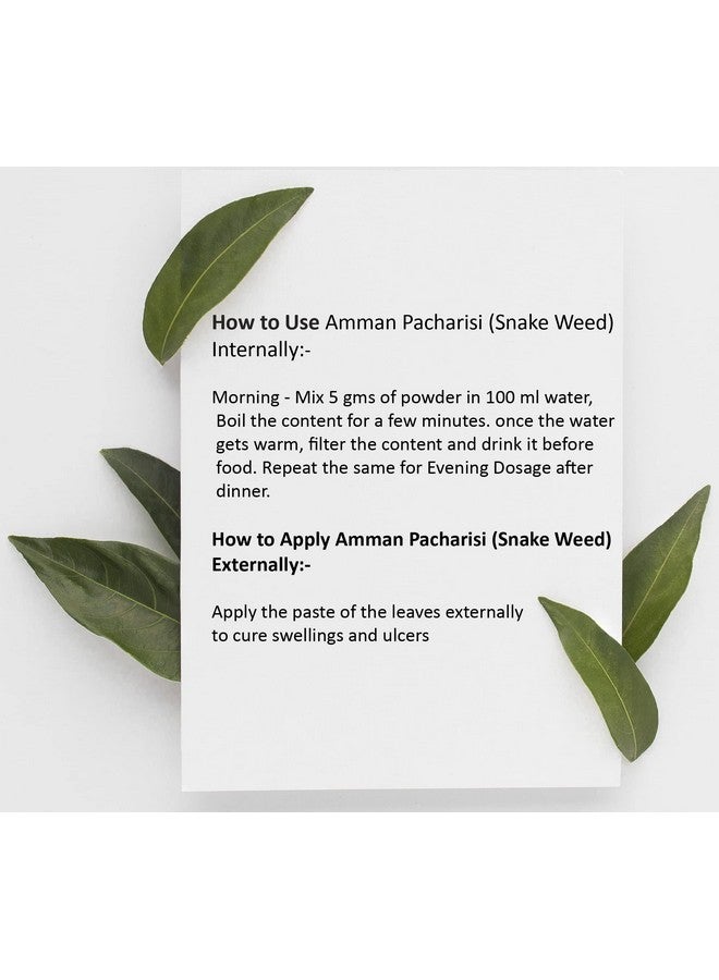 DIETS ORGANICS Amman Pacharisi Powder l Euphorbia Hirta Powder -100Gms - Image 3