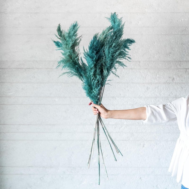 Flowers and Fillers Flowers and Fillers Ocean Blue Pampas Grass Pack of 10 Sticks Natural Dried Flower EcoFriendly Flowers for Home Office Bedroom Table Decoration and Craft Items Corner Without Vase Pot