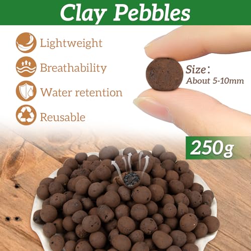 RAINFLOW Clay Pebbles for Plants - 5mm-10mm Clay Balls for Plants Pebbles for Indoor Plant Hydroponic Growing Gardening Orchids Drainage Decoration Aquaponics Growing Terrarium 250g - Image 2