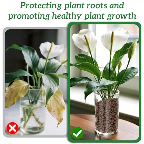 RAINFLOW Clay Pebbles for Plants - 5mm-10mm Clay Balls for Plants Pebbles for Indoor Plant Hydroponic Growing Gardening Orchids Drainage Decoration Aquaponics Growing Terrarium 250g - Image 5