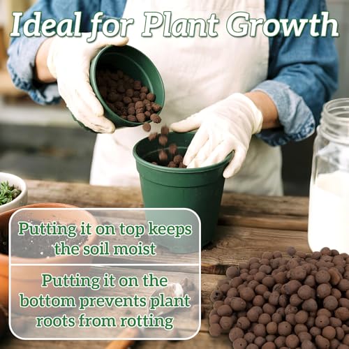 RAINFLOW Clay Pebbles for Plants - 5mm-10mm Clay Balls for Plants Pebbles for Indoor Plant Hydroponic Growing Gardening Orchids Drainage Decoration Aquaponics Growing Terrarium 250g - Image 4