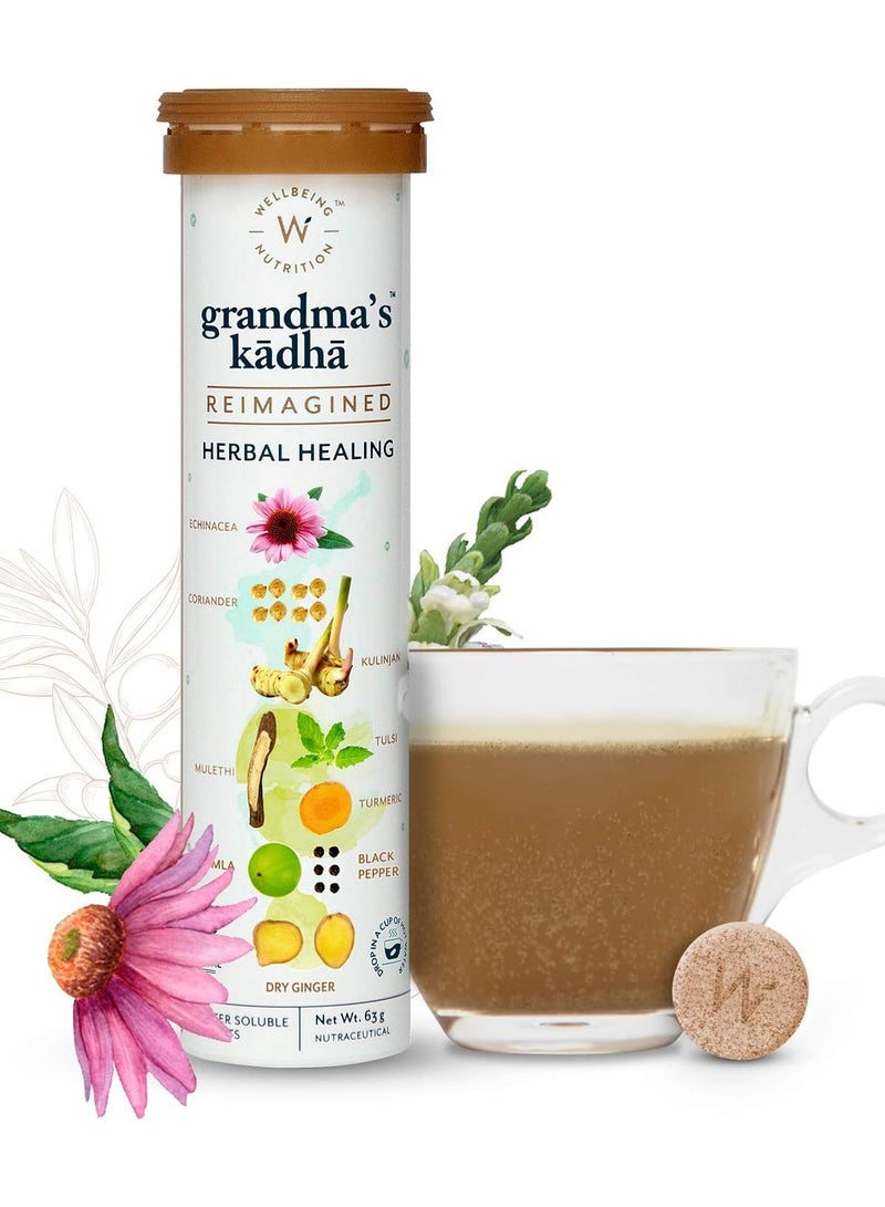 Wellbeing Nutrition Holistic Wellbeing Kit | Daily Greens, Pre & Probiotic, Skin Fuel & Grandma's Kadha - Image 4
