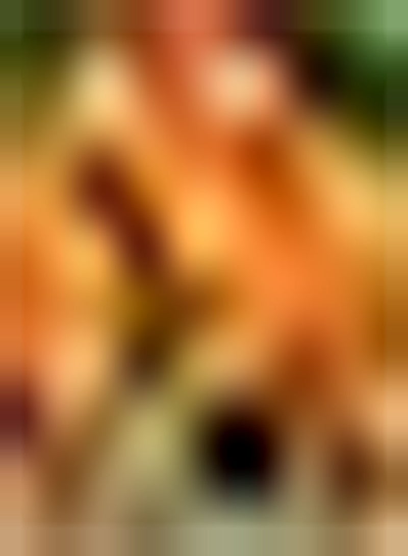 GGOOT 200Stück orangefarbene Ringelblumensamen einzigartige orangefarbene kugelförmige Blumen Lassen Ihren Garten glänzen Einstiegsblumen geeignet für unerfahrene Gärtner - Image 1