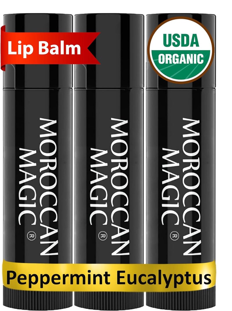 Moroccan Magic Organic Peppermint Eucalyptus Lip Balm 3 Pack  Chapsticks for Dry Lips  Natural Argan  Essential Oils Lip Moisturizer  Vitamin E  Smooth Hydrating NonToxic  Organic Lip Balm