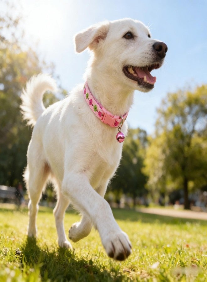 Weimostar Hot Pink XXS Dog Collar with Bell Leash Set, Flower Cat Collars Floral Puppy Collar Nylon Soft Adjustable for XSmall Extra Small Tiny Girl Pets Female Kitten Yorkie Teacup Chihuahua XS - Image 3