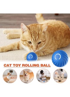SKY-TOUCH Interactive Dog Ball Toy, Smart Self-Moving Ball with 2 Modes Long Battery Life, New Electric Intelligent Teasing Cat Ball, Rechargeable Cat Toys Balls for Indoor Cats, Dogs, Pets, Blue  - Image 3