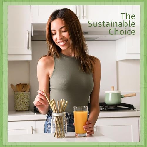 Jenvita 100% Bamboo Straws (10-Pack) - Biodegradable & Compostable 8 Inch Reusable Straws with Cleaner | FSC Certified, Eco Friendly | Hand Wash & Dishwasher Safe | For Hot & Cold Drinks - Image 2