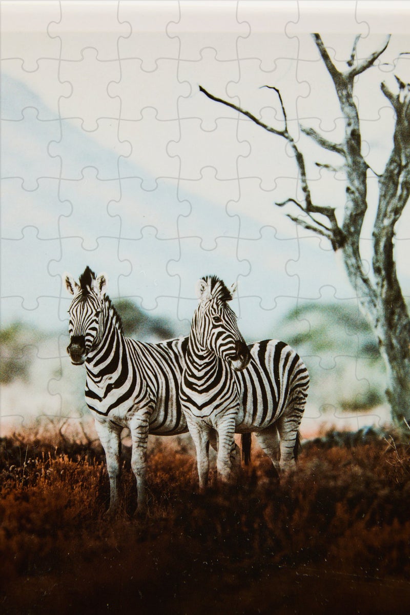 Ambassador Photographers Collection Puzzle Set - Image 4