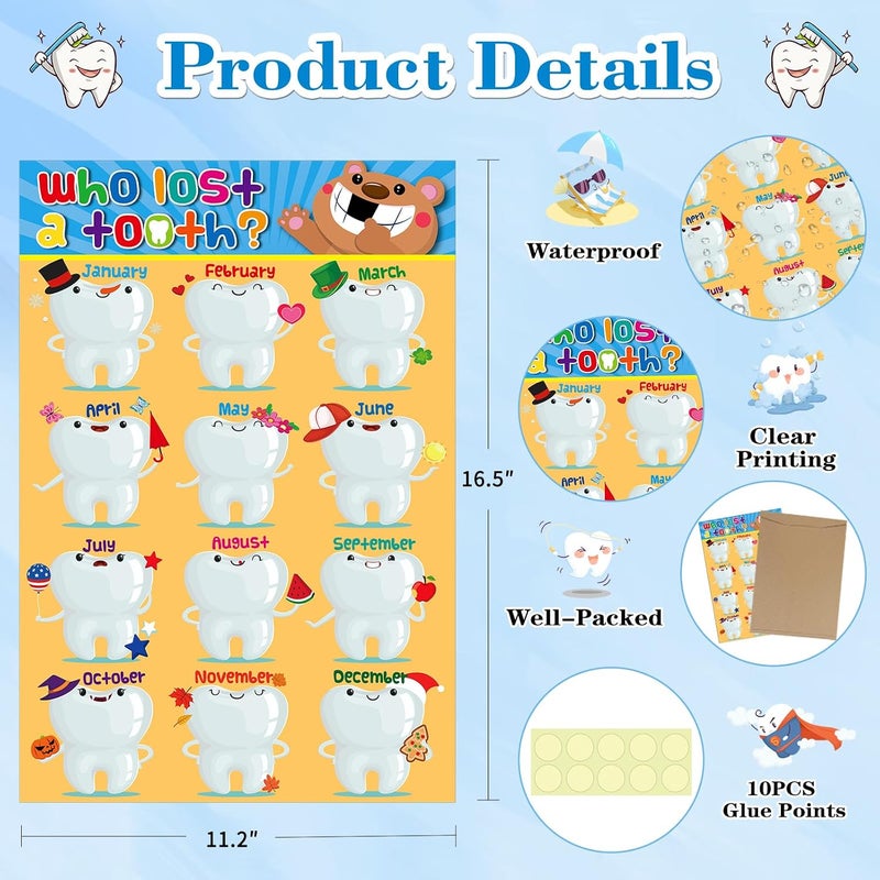 D4DREAM Who Lost a Tooth Poster - 11"x 16.5" Confetti Lost Teeth Learning Posters Charts for Nurse Office Decorations Back to School Teacher Supplies for Kindergarten Elementary Classroom - Image 4