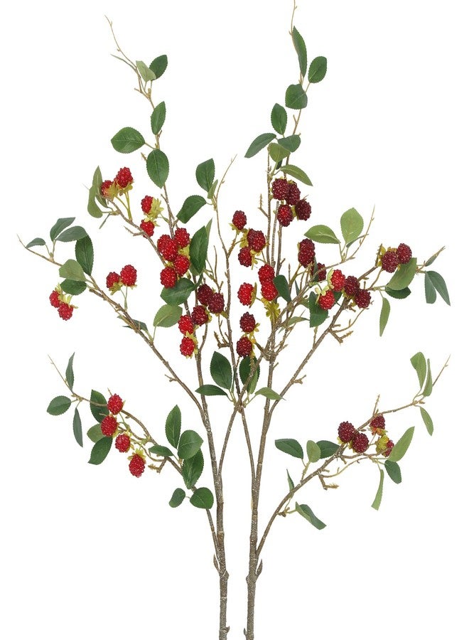 CITYES 2 Pcs Faux Berry Stems Realistic Red Raspberry Berries Flowers Faux Berry Picks Artificial Flowers Branches for Indoor Home Decor Vase Thanksgiving Farmhouse Christmas DIY Mantel Harvest - Image 1