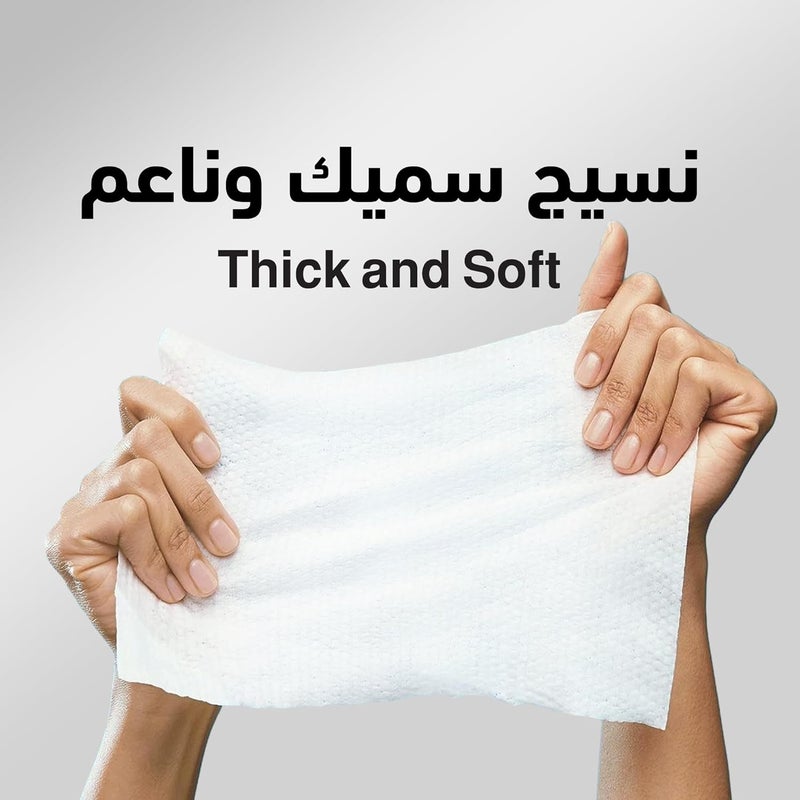ARW Thobe Cleaning Wipes 3x30 (90 Wipes) - Image 4