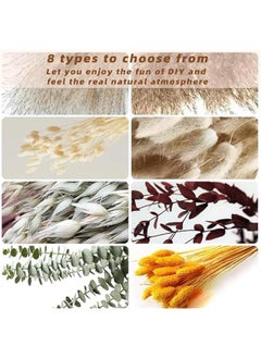 MIXDE Natural Dried Pampas Grass, Boho Decor Fluffy White Pompous Grass Large Reed Bunny Tail Wheat Stalk Decorative Plumes Italian Goldenrod Flower Bouquet for Wedding Fall Home Decor (HS84)  - Image 3