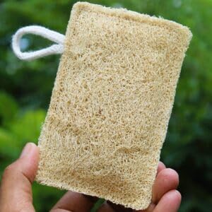 MARMORIS ECOM Natural Loofah Body Scrubber, Organic Eco-Friendly Bath Sponge, Gentle Exfoliating Loofah with Hanging Loop, Ideal for Women & Men, Ridge Gourd Fibre, Lightweight Cleansing Scrub (Rectangle- Pack of 5) - Image 2