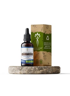 Secrets of the Tribe Wheatgrass Alcoholfree Liquid Extract Made With Wheatgrass (Triticum Aestivum) Dried Leaf (2 Fl Oz)  - Image 1