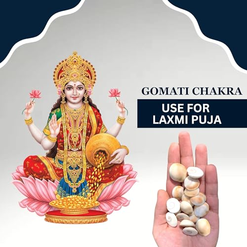 BrijBooti Gomati Chakra 11 Pieces - Stoneware Gomti Chakra - Sudarshan Chakra - Natural Gomti Chakra - Image 3