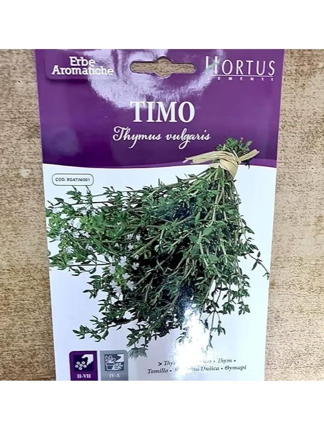 Thyme Timo Herb premium Quality Seeds by Hortus