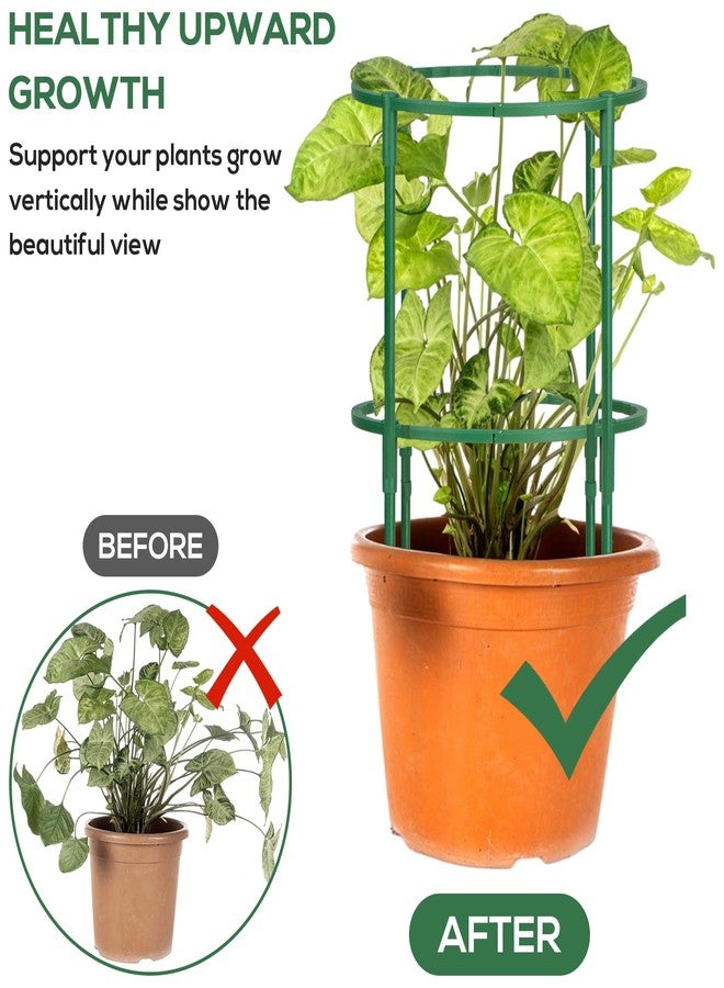 VACONICO 24 Pack Plant Support Stake Half Round Plant Support, Stackable 3 Tier Garden Flower Support, Plant Stakes for Indoor Outdoor Plants for Tomato,Monstera, Peony, Hydrangea, Climbing Plants - Image 2