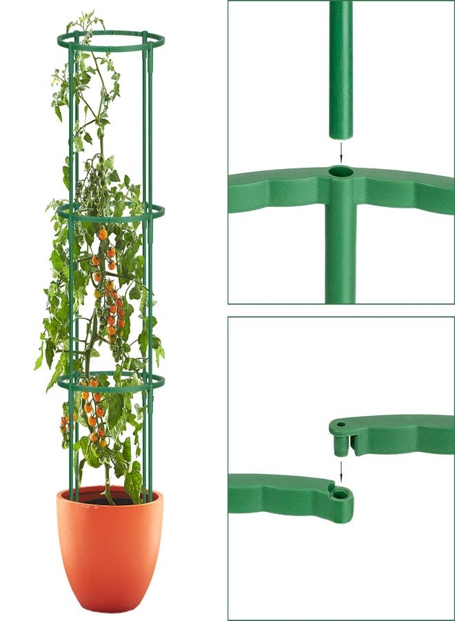 VACONICO 24 Pack Plant Support Stake Half Round Plant Support, Stackable 3 Tier Garden Flower Support, Plant Stakes for Indoor Outdoor Plants for Tomato,Monstera, Peony, Hydrangea, Climbing Plants - Image 5