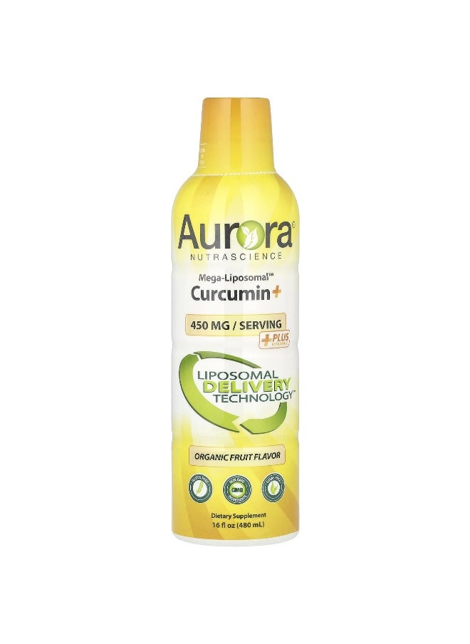Aurora Nutrascience - Aurora Nutrascience, Mega-Liposomal™ Curcumin+, Organic Fruit, 450 mg, 16 fl oz (480 ml) - Image 1