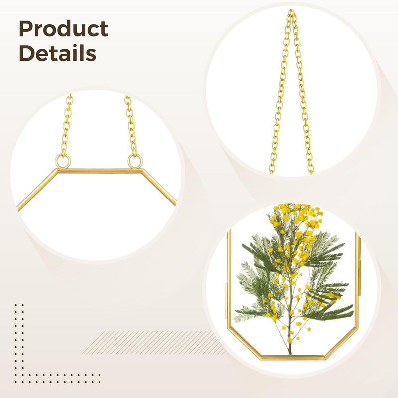 Pressed Flower Glass Frame Set, 2 Gold Metal Floating Picture Holders, Octagon Design with Chain for Hanging, Botanical Photo Display - Image 3