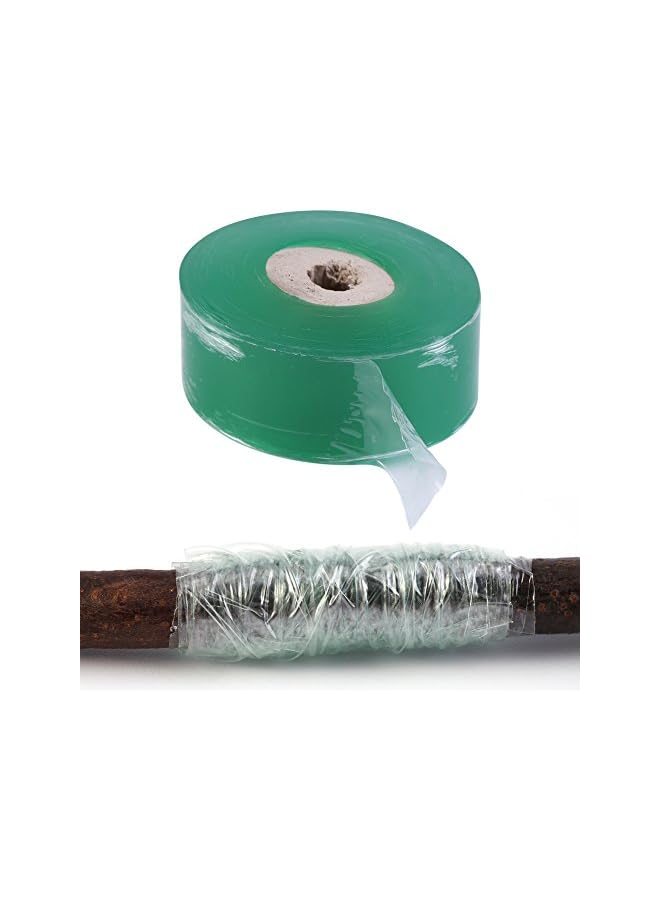 promass Self-Adhesive Self-Adhesive Grafting Tape, Grafting Stretchable Tape, Green 100M for Tree Tape Grafting Fruit Tree - Image 4