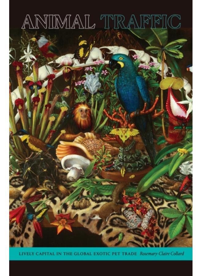 Animal Traffic : Lively Capital in the Global Exotic Pet Trade