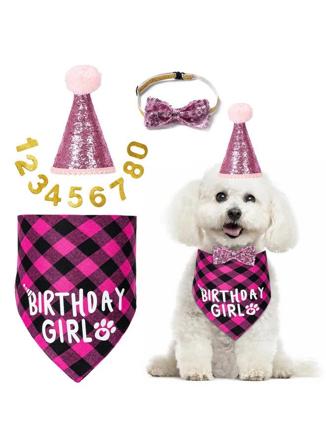Hoewina Dog Birthday Party Supplies, Dog Birthday Decorations with Birthday Girl Dog Bandanas/Dog Cat Birthday Hat/Dog Bow Tie/Collar with 0-8 Numbers, for Medium Small Dogs Pets (Large, Pink) - Image 1