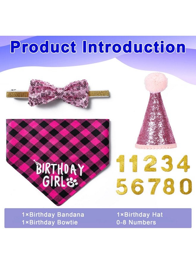 Hoewina Dog Birthday Party Supplies, Dog Birthday Decorations with Birthday Girl Dog Bandanas/Dog Cat Birthday Hat/Dog Bow Tie/Collar with 0-8 Numbers, for Medium Small Dogs Pets (Large, Pink) - Image 2