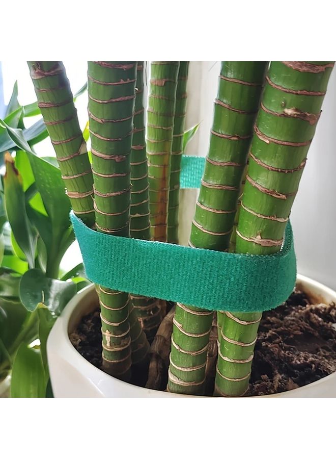 Garden Plant Ties 39.3 Inches Roll Flexible Green Support Straps for Securing Branches Ideal for Garden Plant Care and Organization - Image 4