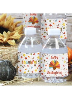 DISTINCTIVS Thanksgiving Party Favors for Kids, Turkey Stickers for Water Bottles - 24 Count  - Image 2