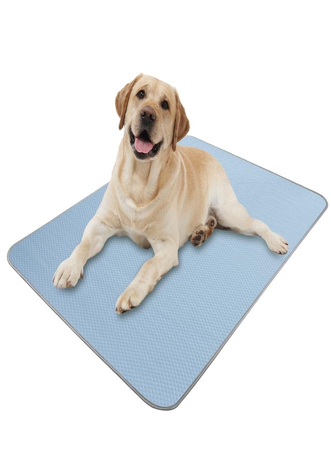 Buvlnee Summer Dog Cooling Mat Washable Ice Silk Self Cool Pad for Small Medium Large Dogs and Cats, Pet Sleeping Pad for Crate, Bed, Indoor & Outdoor Floor, Car Seats (Blue, 27x22in) - Image 1