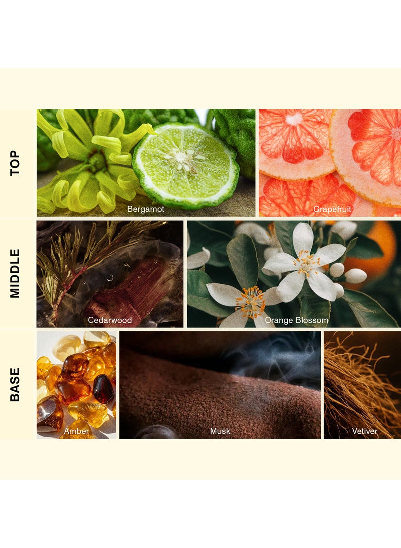 ISCENT | Éclat de Bois d’Orange – Fragrance Oil Refill for Ensō Mini Diffuser 10ml | Bergamot, Grapefruit, Orange Blossom, Cedarwood & Amber for Home & Car | Citrus Freshness & Elegant Woods - Image 2