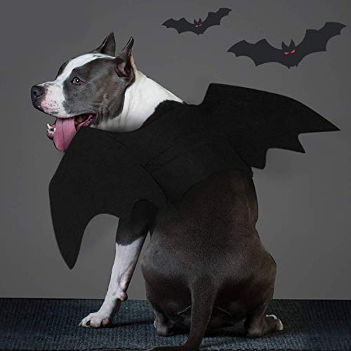 Rypet Dog Bat Costume - Halloween Pet Costume Bat Wings Cosplay Dog Costume Cat Costumes for Party L - Image 5