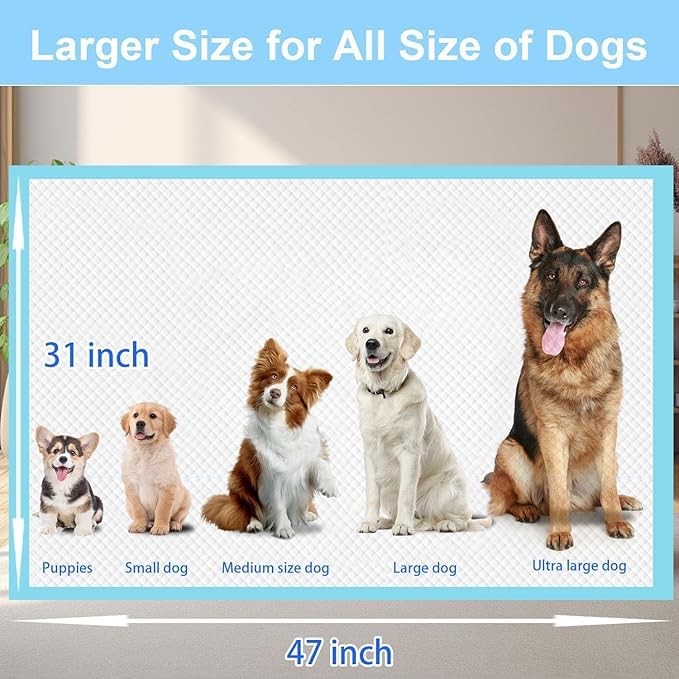 odorless XXXXL Puppy Pee Pads for Dogs 31"x47" 40 Count, Extra Large Dog Pee Pads, Leak-Proof & Super Absorbent Dog Pee Pads, Thicken Disposable Potty Pads Puppy Training Pads for Cats Rabbits - Image 2