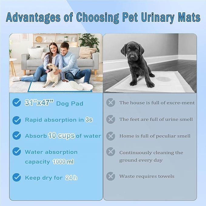 odorless XXXXL Puppy Pee Pads for Dogs 31"x47" 40 Count, Extra Large Dog Pee Pads, Leak-Proof & Super Absorbent Dog Pee Pads, Thicken Disposable Potty Pads Puppy Training Pads for Cats Rabbits - Image 1