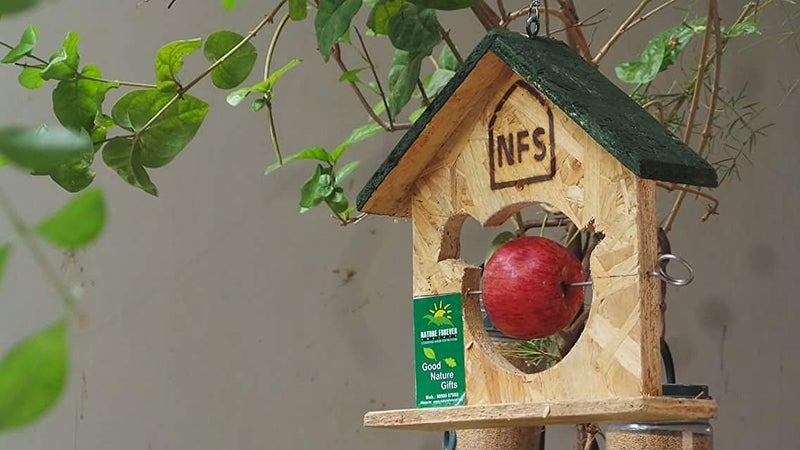 Nature Forever Fruit Feeder (Brown) - Image 2