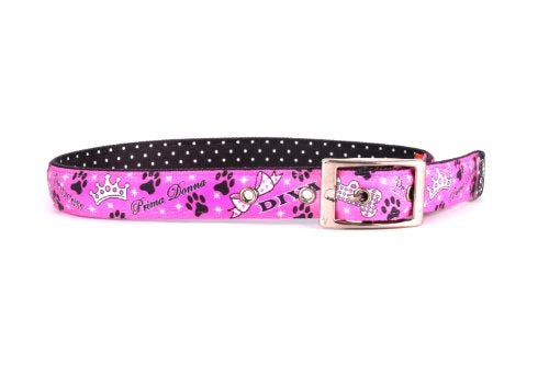 Yellow Dog Design Uptown Collar, Small, Diva Dog on Black Polka, Small - Image 1