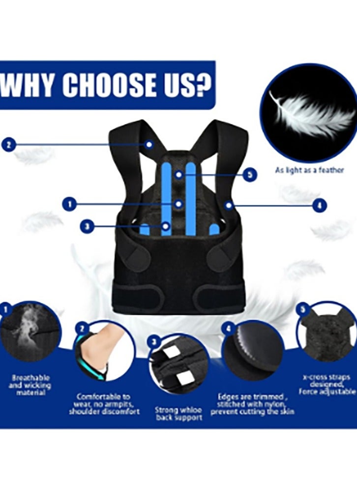 Bukela Back Brace and Posture Corrector for Women and Men Back Straightener Posture Corrector Scoliosis and Hunchback Correction Back Pain Spine Corrector Support Adjustable Posture Trainer - Image 2