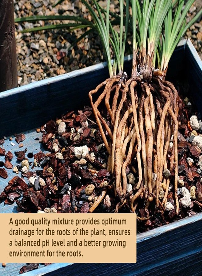 CJGQ 2 Quart Bonsai Soil Mix Lava,Pumice,Pine Bark and Calcined Rock, Natural Organic Mix for Potted Plants… - Image 3