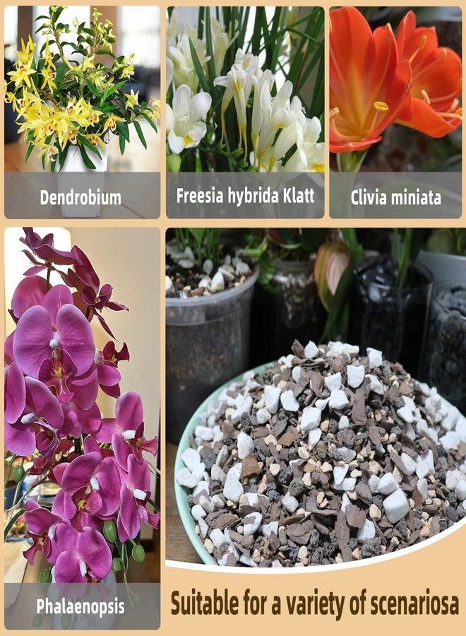 CJGQ 2 Quart Bonsai Soil Mix Lava,Pumice,Pine Bark and Calcined Rock, Natural Organic Mix for Potted Plants… - Image 5