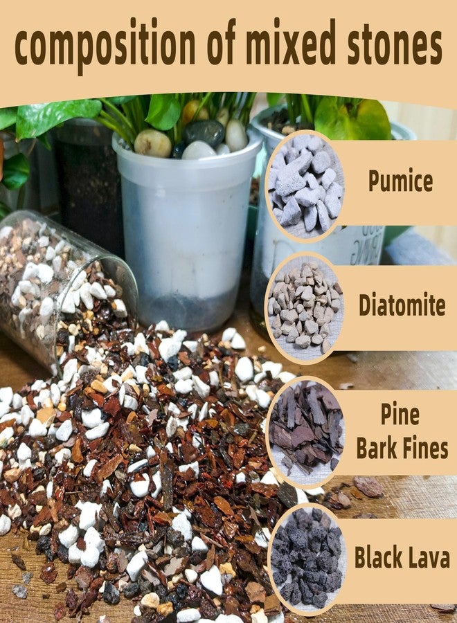 CJGQ 2 Quart Bonsai Soil Mix Lava,Pumice,Pine Bark and Calcined Rock, Natural Organic Mix for Potted Plants… - Image 2