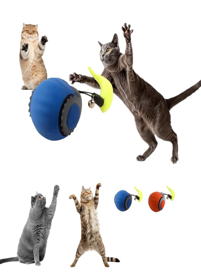 ZYKORNIUM Interactive Cat Toy Ball - Automatic Rolling Rechargeable Cat Toy, Chasing Ball for Indoor Cats & Kittens, Feather Tail, Self-Moving Toy, Fast & Slow Speed (Blue) - Image 1