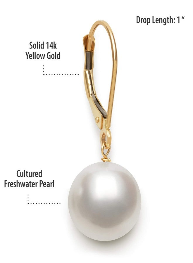 Belacqua White Cultured Freshwater Pearl Round Dangle Drop Earrings in 14K Yellow Gold, Leverback - Closure, Real Pearl Jewelry for Women, Gift Box Included - Image 2