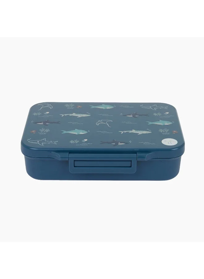 Little IA Open Water Tritan Lunch Box